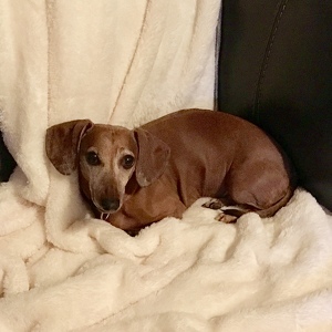 Fundraising Page: Teri Ortega